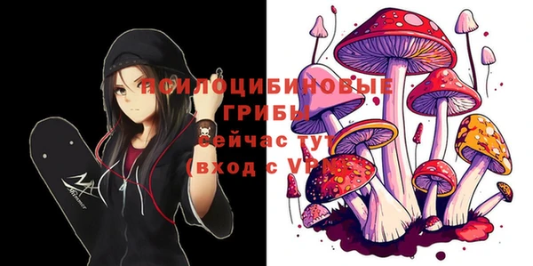 стафф Балахна