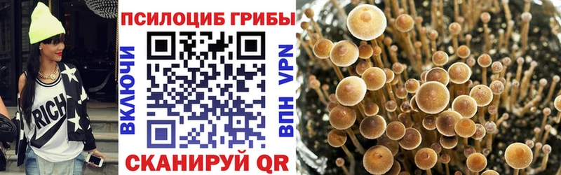 Псилоцибиновые грибы Magic Shrooms  Вяземский 